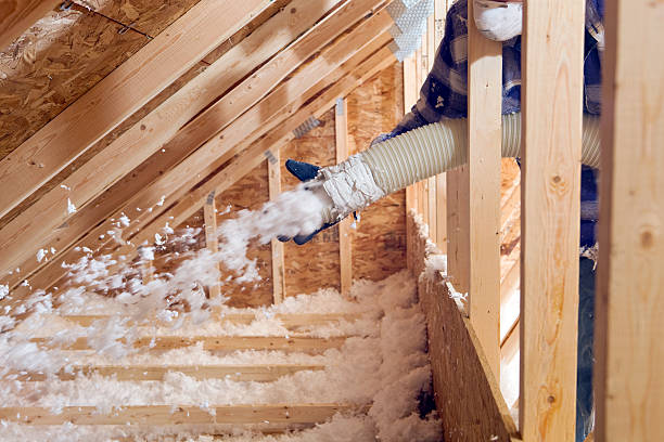 Professional Insulation Services in Shady Hollow, TX